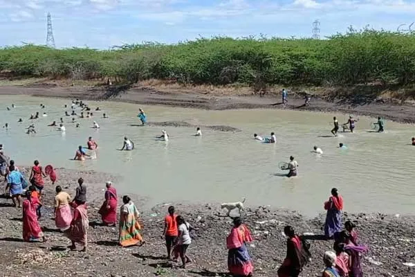 Fishing festival in violation of curfew rules .. Individual negligence ..?