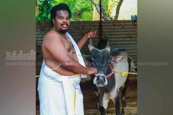 Srirangam Thippu jallikkattu Cow story 