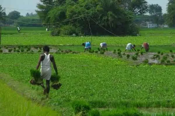 Rs 4.44 crore subsidy schemes ready for farmers; Call to apply!