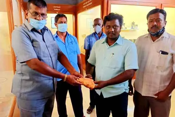 The 100 million year old stone was handed over to the museum