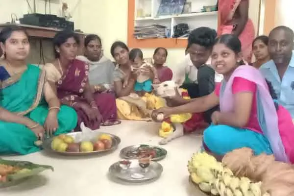  baby shower  for dog near theni 