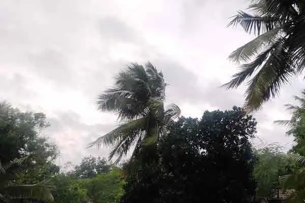 Pudukottai, Tanjore districts with wind and rain ...