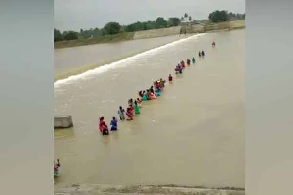Farmers crossing the stream without realizing the danger!