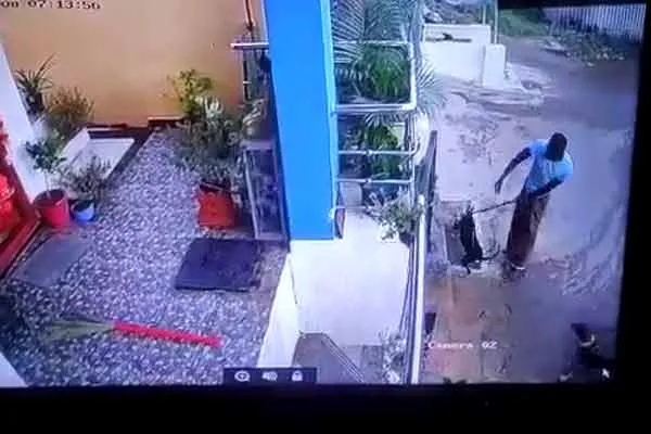 The person who bullied the pet dog 
