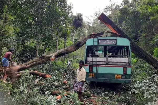 A tree fell on a bus on the Thandikudi hill road. Passengers fortunately survived !!