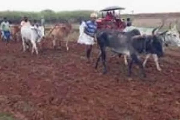 Farmers returning to natural agriculture!
