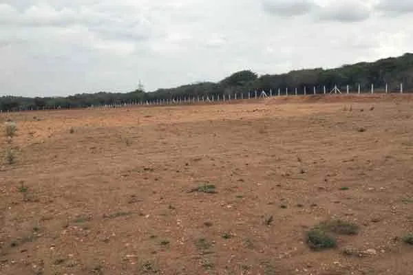Fake deed of government land; Loot Minerals!