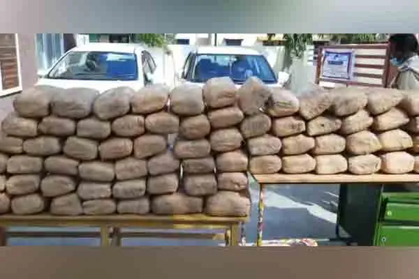 Nine persons from Andhra Pradesh, Kerala and Tamil Nadu arrested for   cannabis