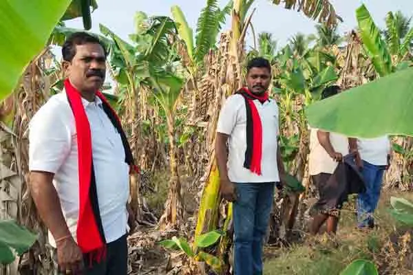 DMK Candidate campaign in dinidgul 