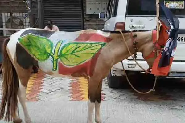 ADMK Candidate use Horse to campaign 
