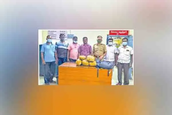 8.50 kg of cannabis  seized in train