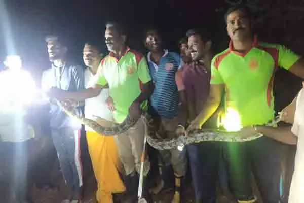 Mountain snake enters farmer's house!