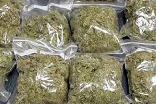 14 kg of cannabis seized from train