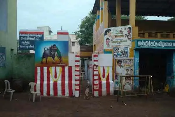 Viewers in 2017 ... Lovers who petitioned the Collector to get married in Vadivasal in 2020 ..!