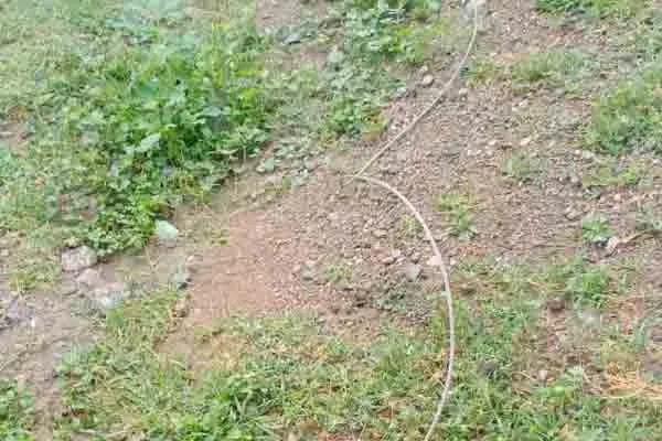 Three people passed away due to electric shock!