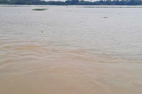 In Chidambaram locality, arable lands turned into flooded 
