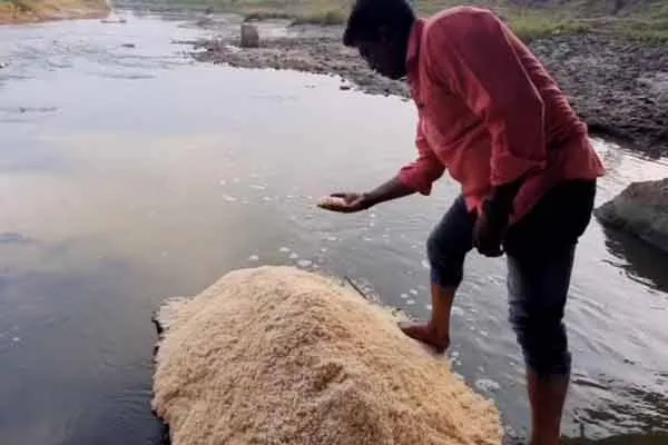 ration rice floating in water; Dazzling farmers