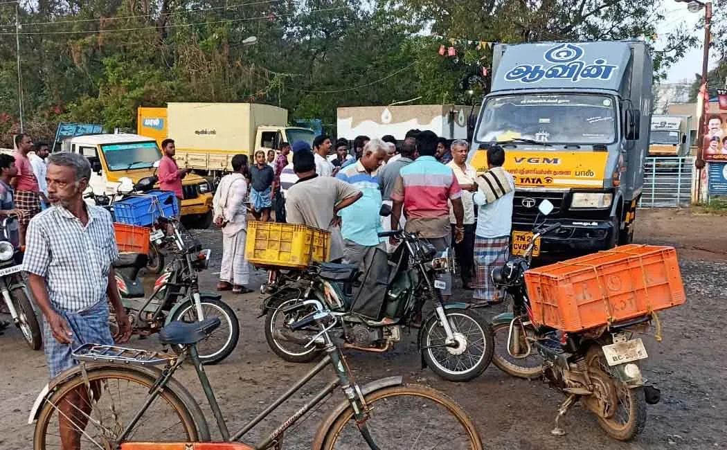 Delay in aavin milk supply in Trichy!