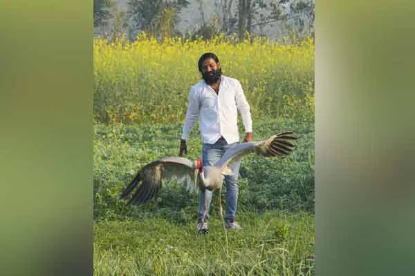 Uttarpradesh sarus crane arif kahan