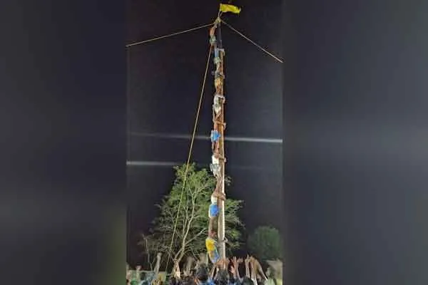The brisk tree climbing competition ...