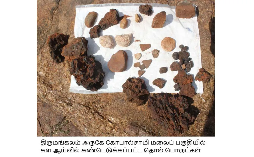 8,000-year-old grain-grinding stone discovered