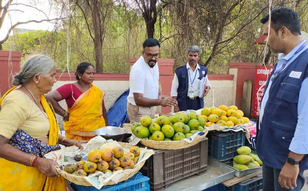 Food Safety Department officials have destroyed 260 kg of artificially ripened mangoes