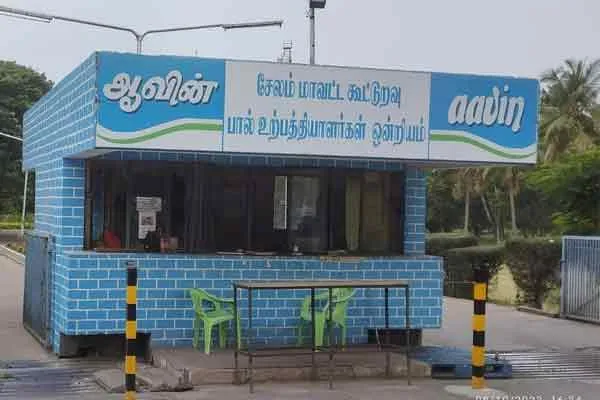 Diwali Sweets Making Mistake in Aawin; The contractor is stuck!