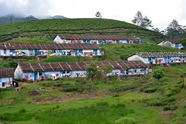 Mancholai incident 