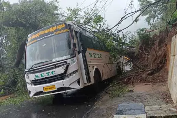 A giant tree fell on the bus!