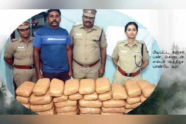 puthukottai SP Vandita pande team Confiscation cannabis 