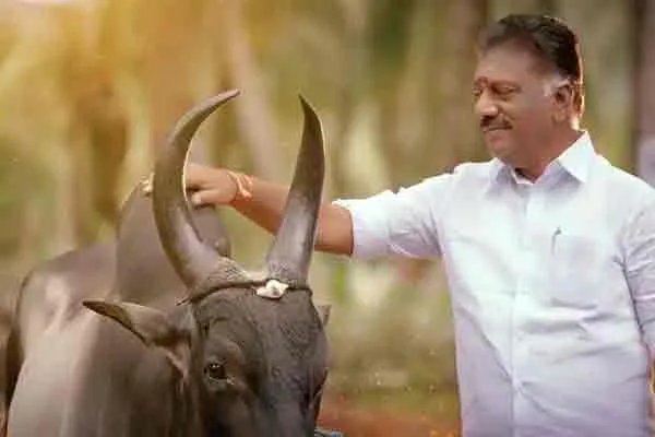 OPS released hid Second advertisement  video 