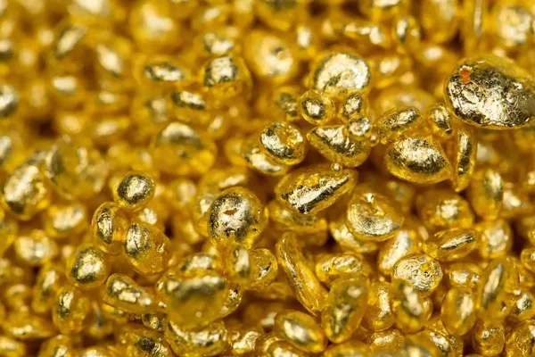 6 crores of gold trapped! Election Flying Squad in action