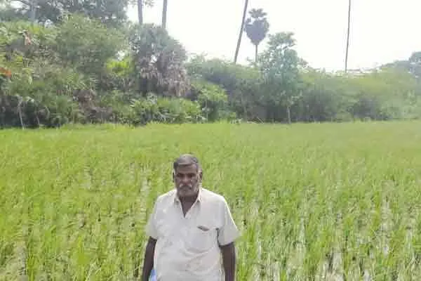 Sachchidanandam, a farmer from Karaipakkam, has been making achievements in organic farming for 15 years