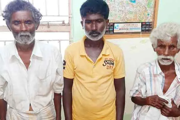three arrested under pocso act in dindigul 