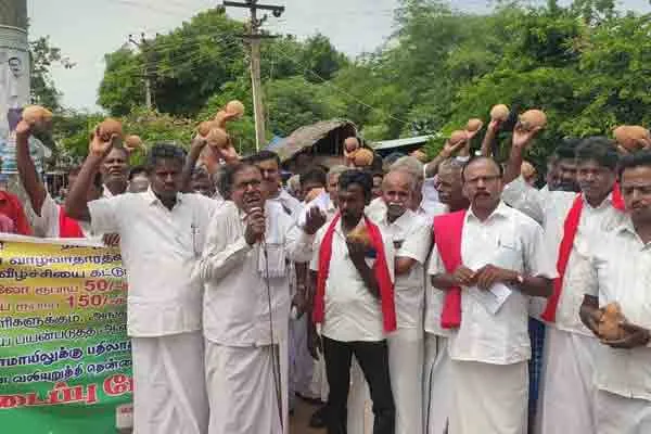 Farmers struggle by breaking coconuts on the road!