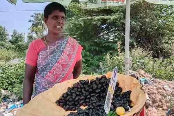 Salem Highways novel fruits 