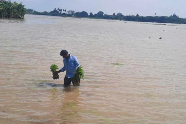 In Chidambaram locality, arable lands turned into flooded 