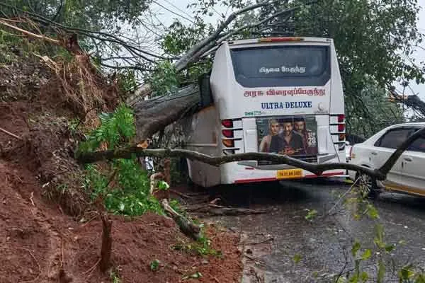 A giant tree fell on the bus!