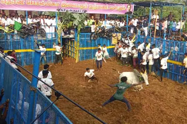 Tamil Nadu's first Jallikattu! Ministers who started by waving the flag!