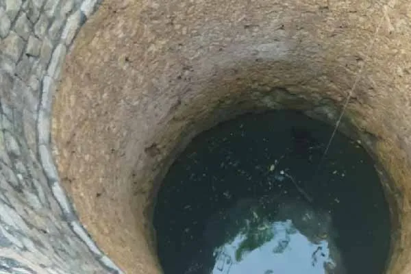 youth passes away in puthukottai who tried to rescue his sister 