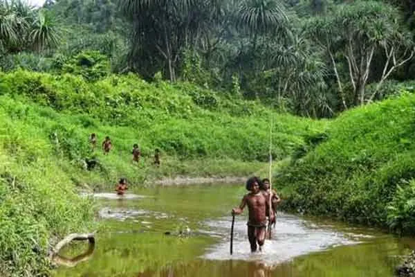 andaman and nicobar islands shompen people issue 