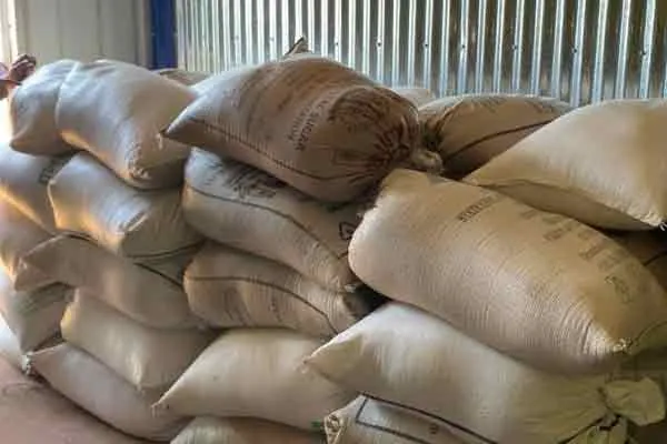 Thousands of kilos of ration rice confiscated ... Gudon sealed ...!