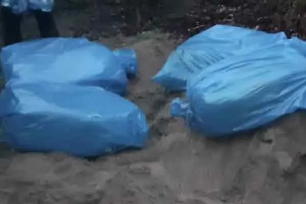 Seizure of millions worth of smuggled drugs of international value 