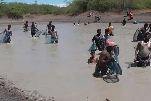 Fishing festival in violation of curfew rules .. Individual negligence ..?