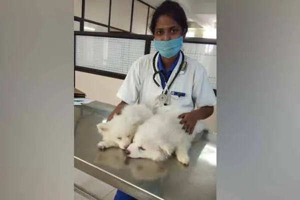 It should be considered a privilege to study about Veterinary   says Oviya