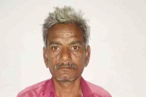 People arrested for cutting down trees