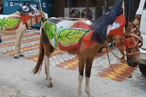 ADMK Candidate use Horse to campaign 