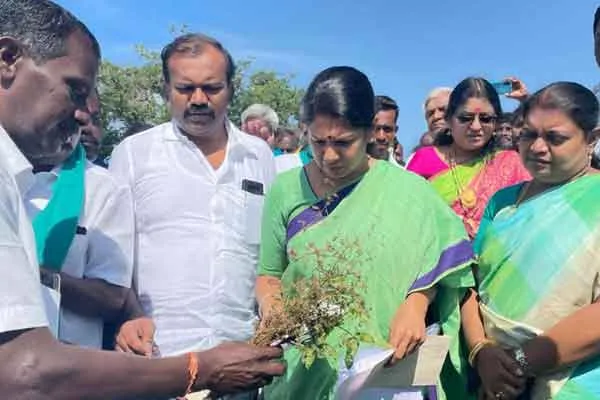 Kanimozhi MP who expressed his condolences to the disturbed farmers ..