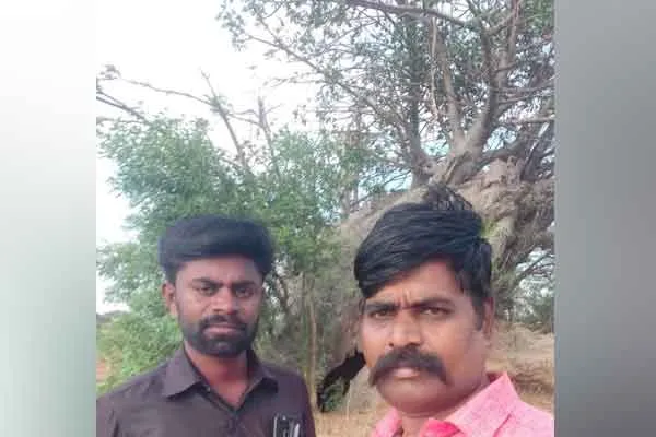 Africa root; Thousands of years old Ponthanpuli tree growing in Tamil Nadu!
