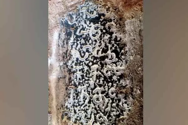 The message of the inscription is ‘Oxidation will be completely removed if the Guru’s foot is bowed’